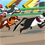 dog racing bet
